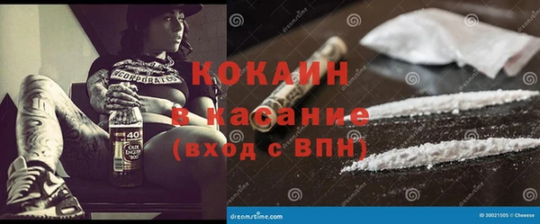 ГАЛЛЮЦИНОГЕННЫЕ ГРИБЫ Арсеньев
