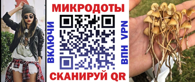 Псилоцибиновые грибы Psilocybine cubensis  KRAKEN как войти  Валдай 